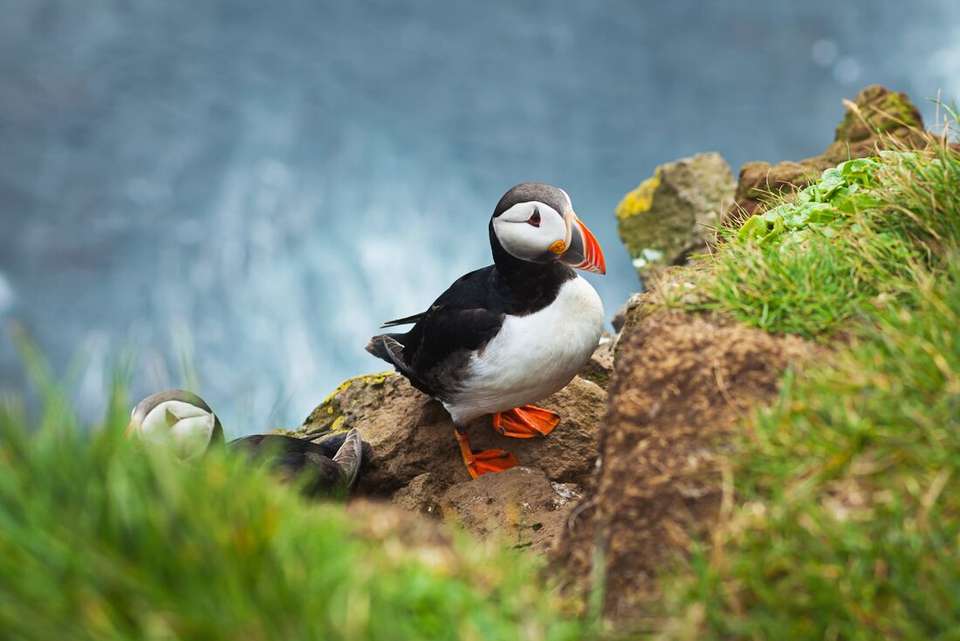 Highlights of Iceland (Ocean Victory) - Intrepid Travel - Iceland - Image 11