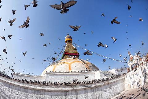 New Delhi Rickshaw, Cycle Or Local Transport Tour: Highlights Of India & Nepal