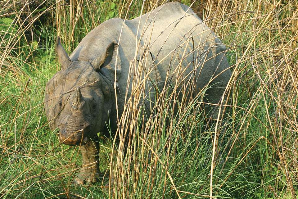 Highlights of India & Nepal - Intrepid Travel - India - Image 3