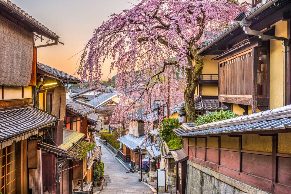 Highlights of Japan - Expat Explore - Japan - Image 3