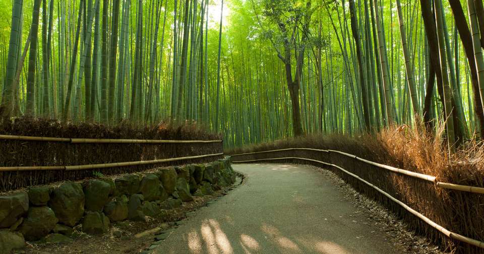 Highlights of Japan - Explore - Japan - Image 12