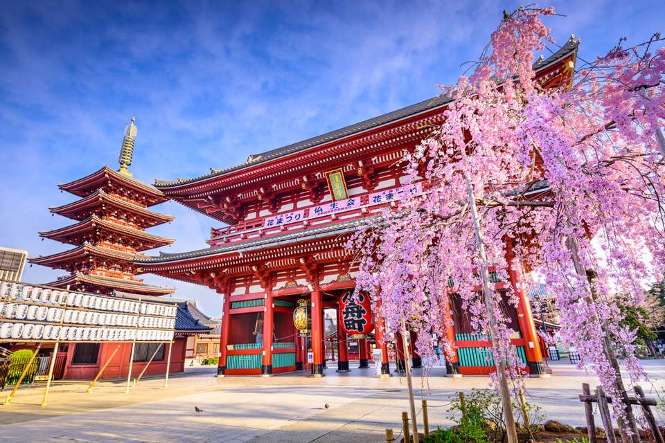 Highlights of Japan - Exodus Adventure Travels - Japan - Image 16