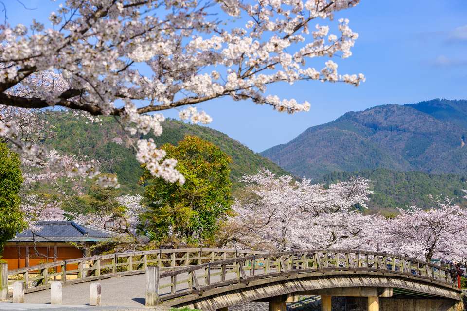 Highlights of Japan - Exodus Adventure Travels - Japan - Image 13