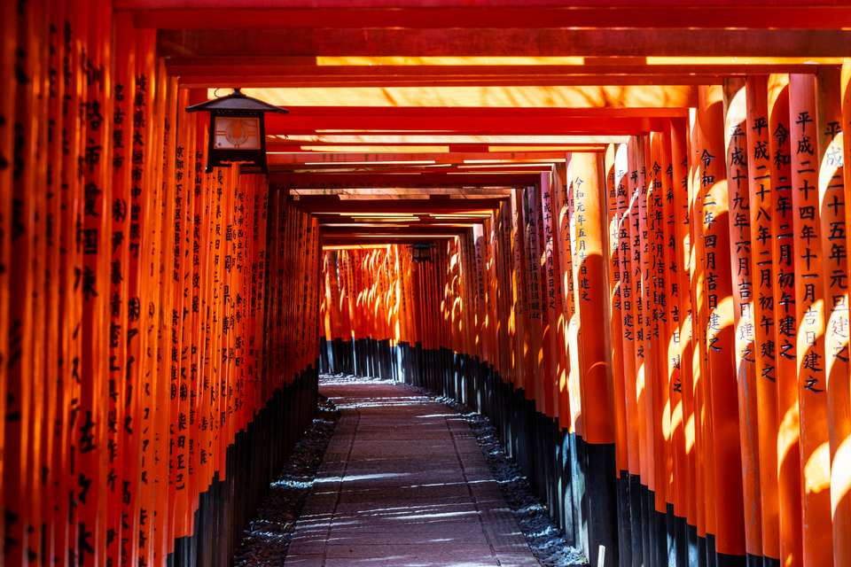 Highlights of Japan - Exodus Adventure Travels - Japan - Image 12