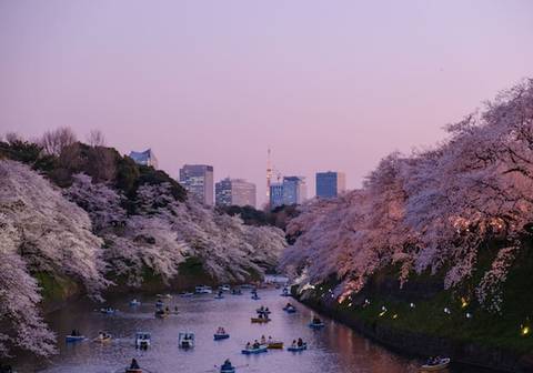 Highlights Of Japan - October 2026
