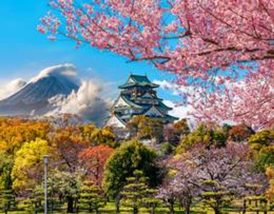 Highlights of Japan Adventure  - 17 days - On The Go Tours - Japan - Image 7