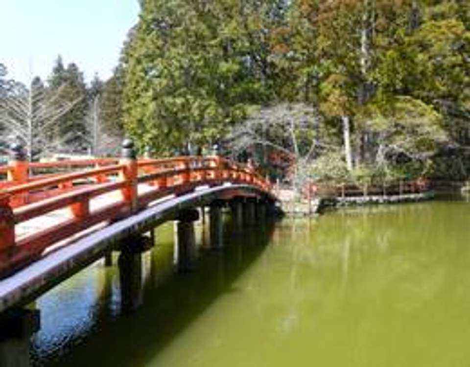 Highlights of Japan Adventure  - 17 days - On The Go Tours - Japan - Image 6