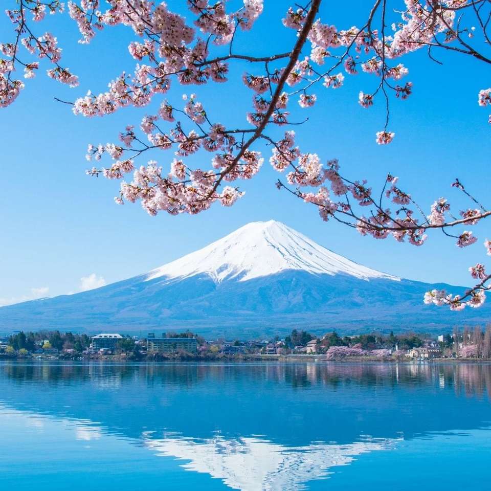 Highlights of Japan & South Korea - Travel Talk - Japan - Image 18