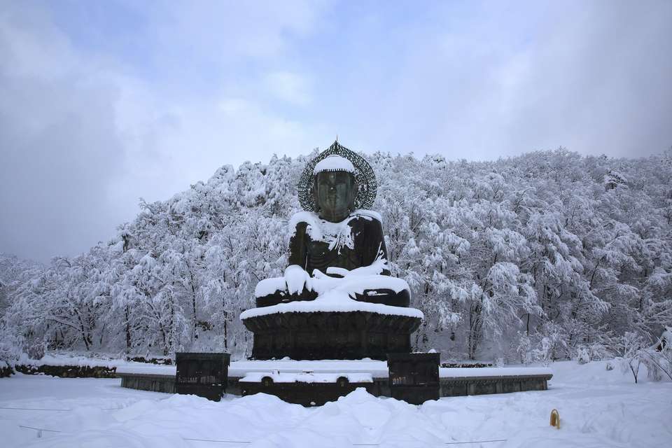 Highlights of Japan & South Korea - Travel Talk - Japan - Image 12