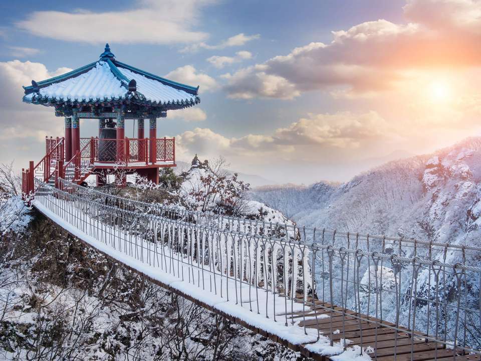 Highlights of Japan & South Korea - Travel Talk - Japan - Image 11