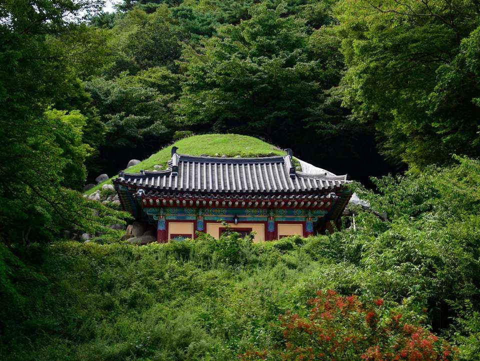 Highlights of Japan & South Korea - Travel Talk - Japan - Image 9