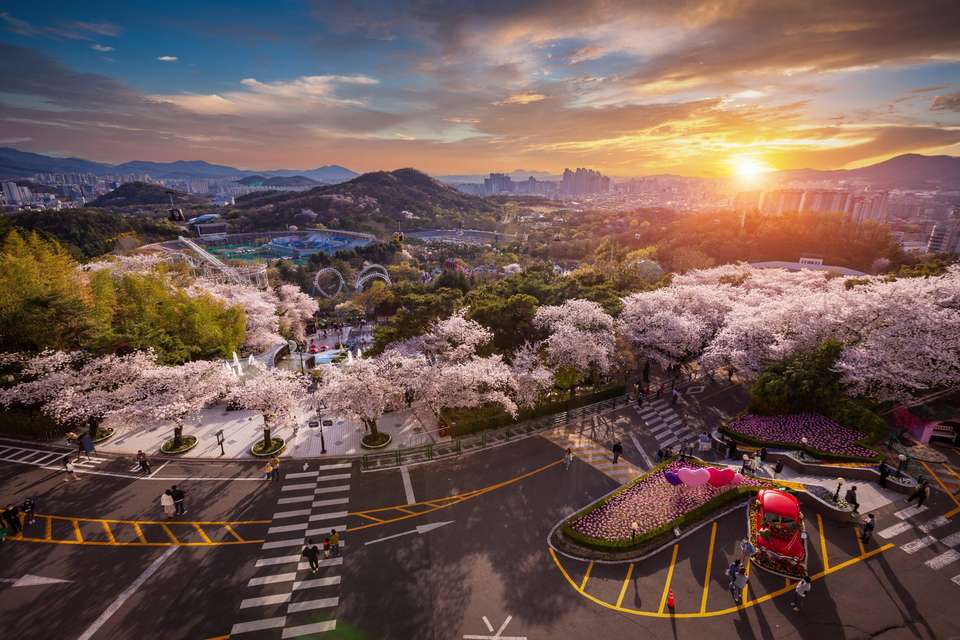 Highlights of Japan & South Korea - Travel Talk - Japan - Image 8