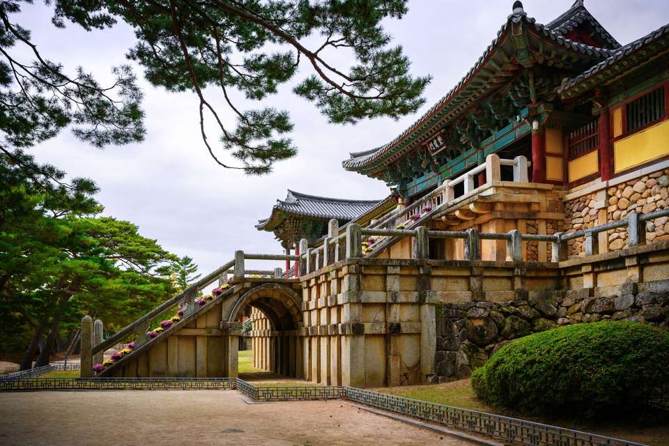Highlights of Japan & South Korea - Travel Talk - Japan - Image 6