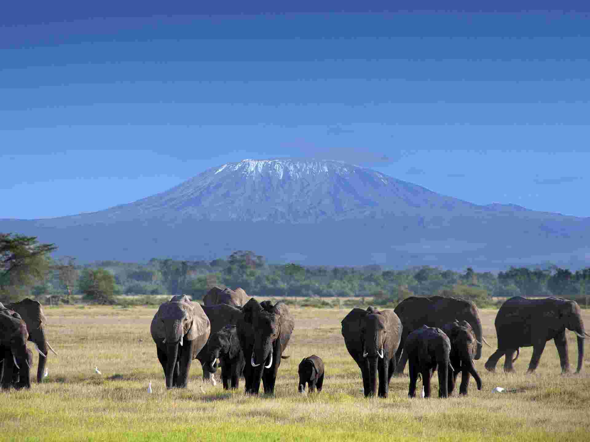 Highlights of Kenya - 11 days