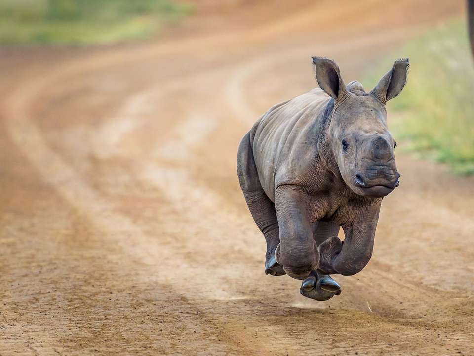 Highlights of Kenya - 11 days - On The Go Tours - Kenya - Image 2