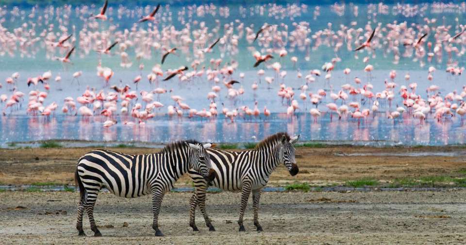 Highlights of Kenya - undefined - Image 1