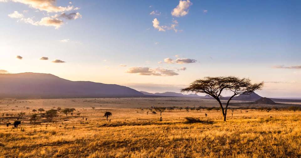 Highlights of Kenya - undefined - Image 6