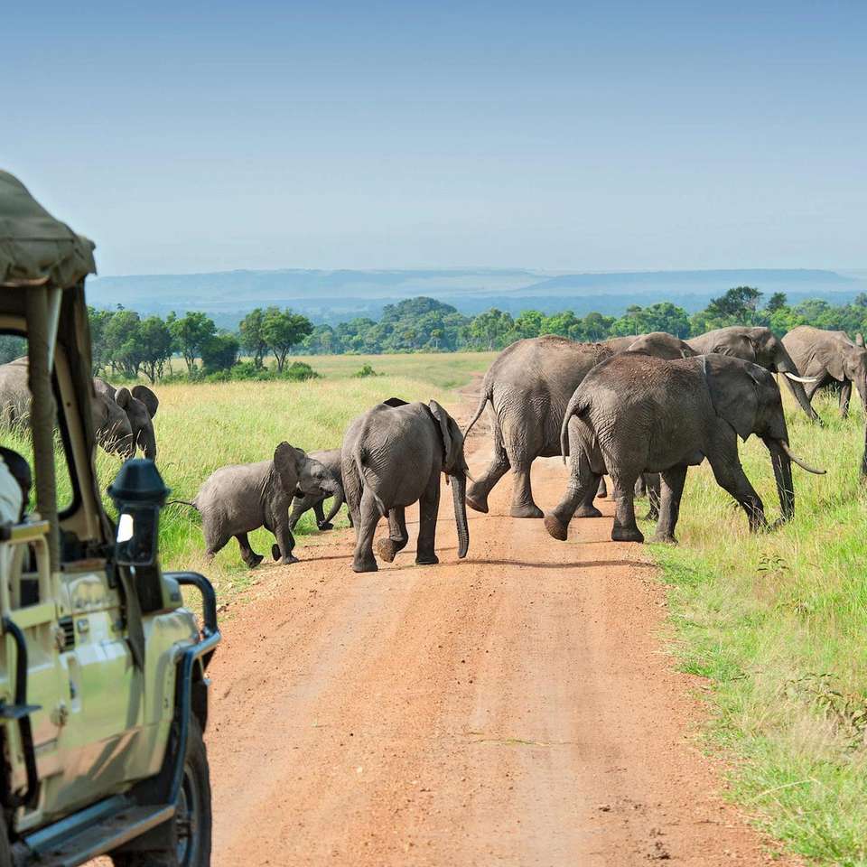 Highlights of Kenya - Costsaver - Kenya - Image 5