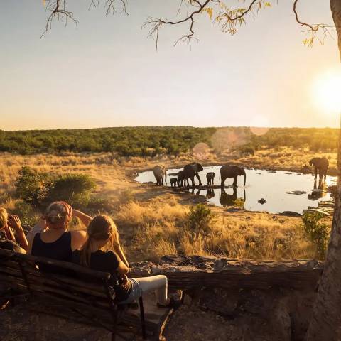 Group Tours: Highlights Of Kenya