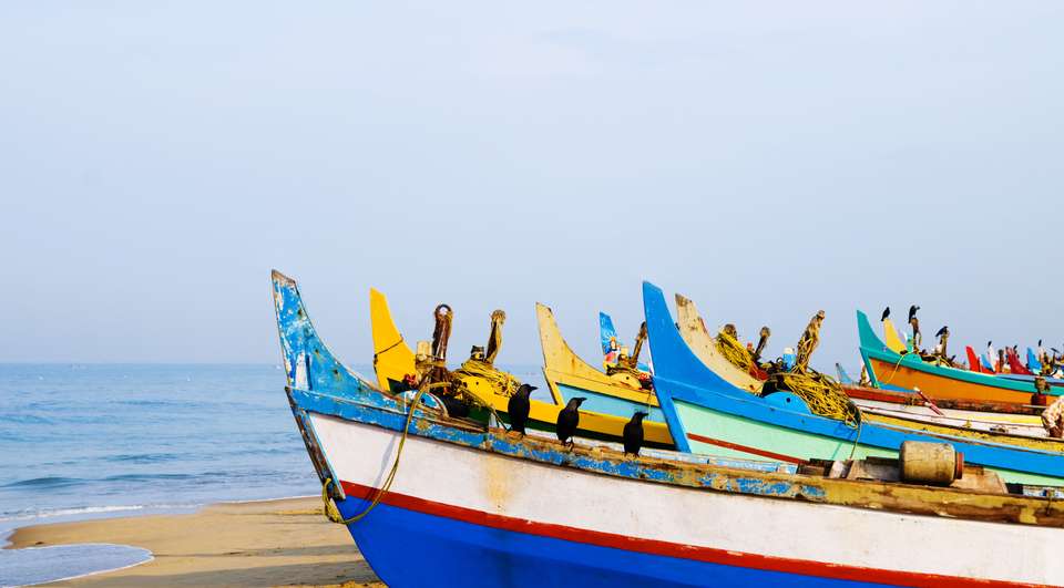 Highlights of Kerala - Exodus Adventure Travels - India - Image 4