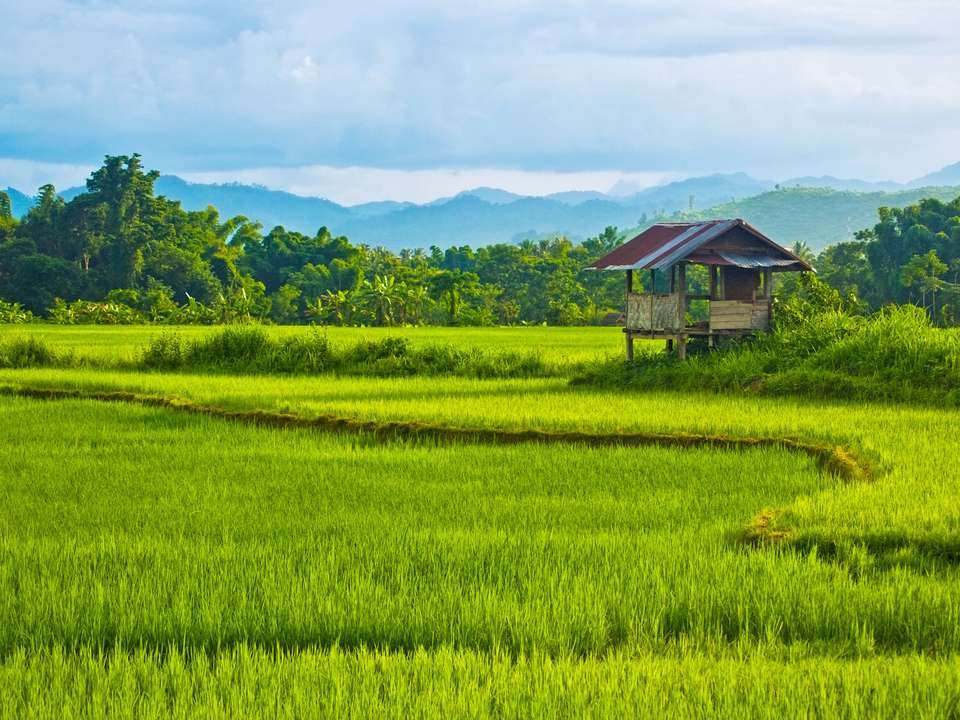 Highlights of Laos - 7 days - On The Go Tours - Laos - Image 3