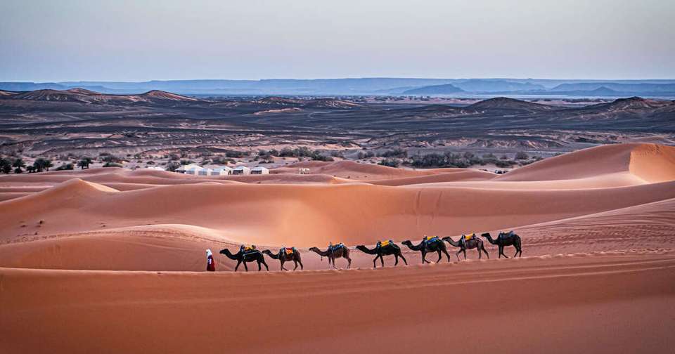 Highlights of Morocco - Explore - Morocco - Image 3