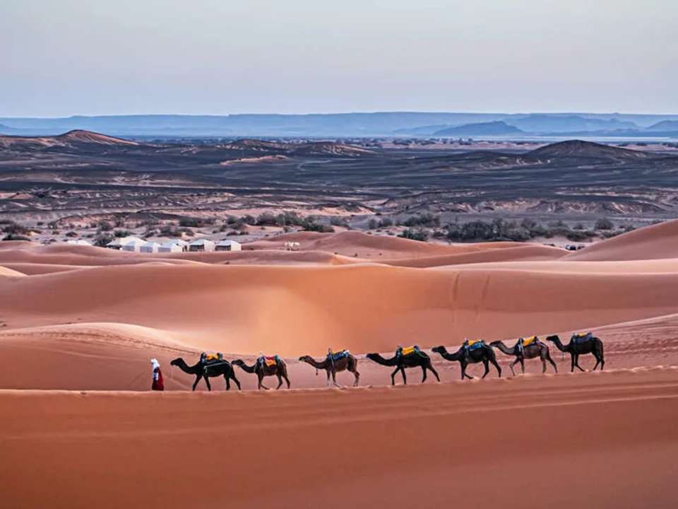 Highlights of Morocco - undefined - Image 11