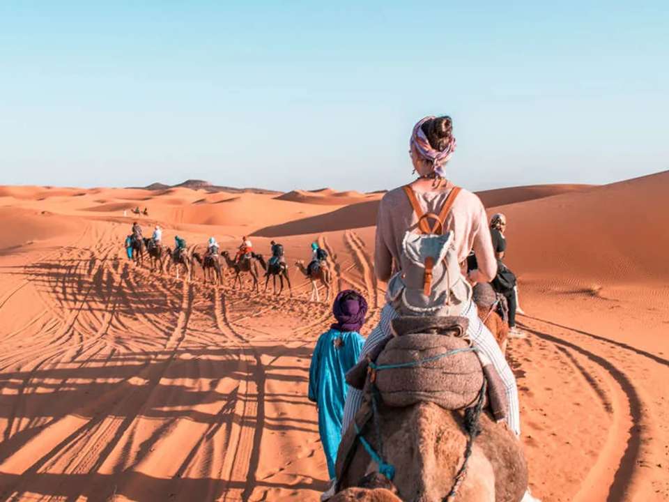 Highlights of Morocco - undefined - Image 10