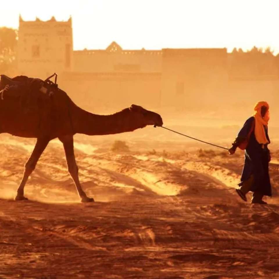 Highlights of Morocco - undefined - Image 4