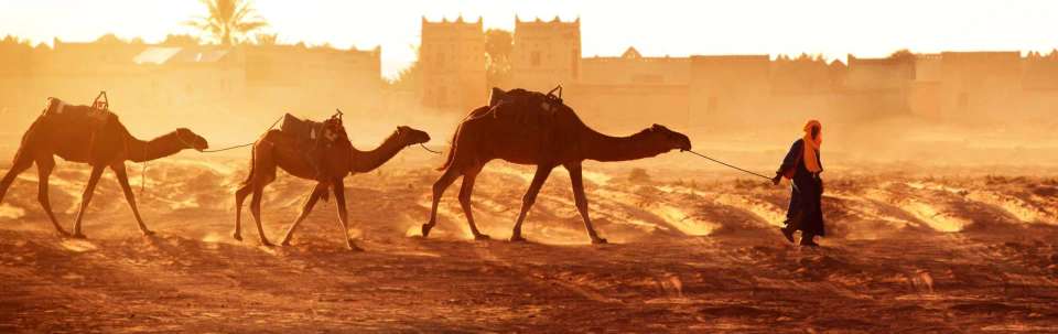 Highlights of Morocco - undefined - Image 3