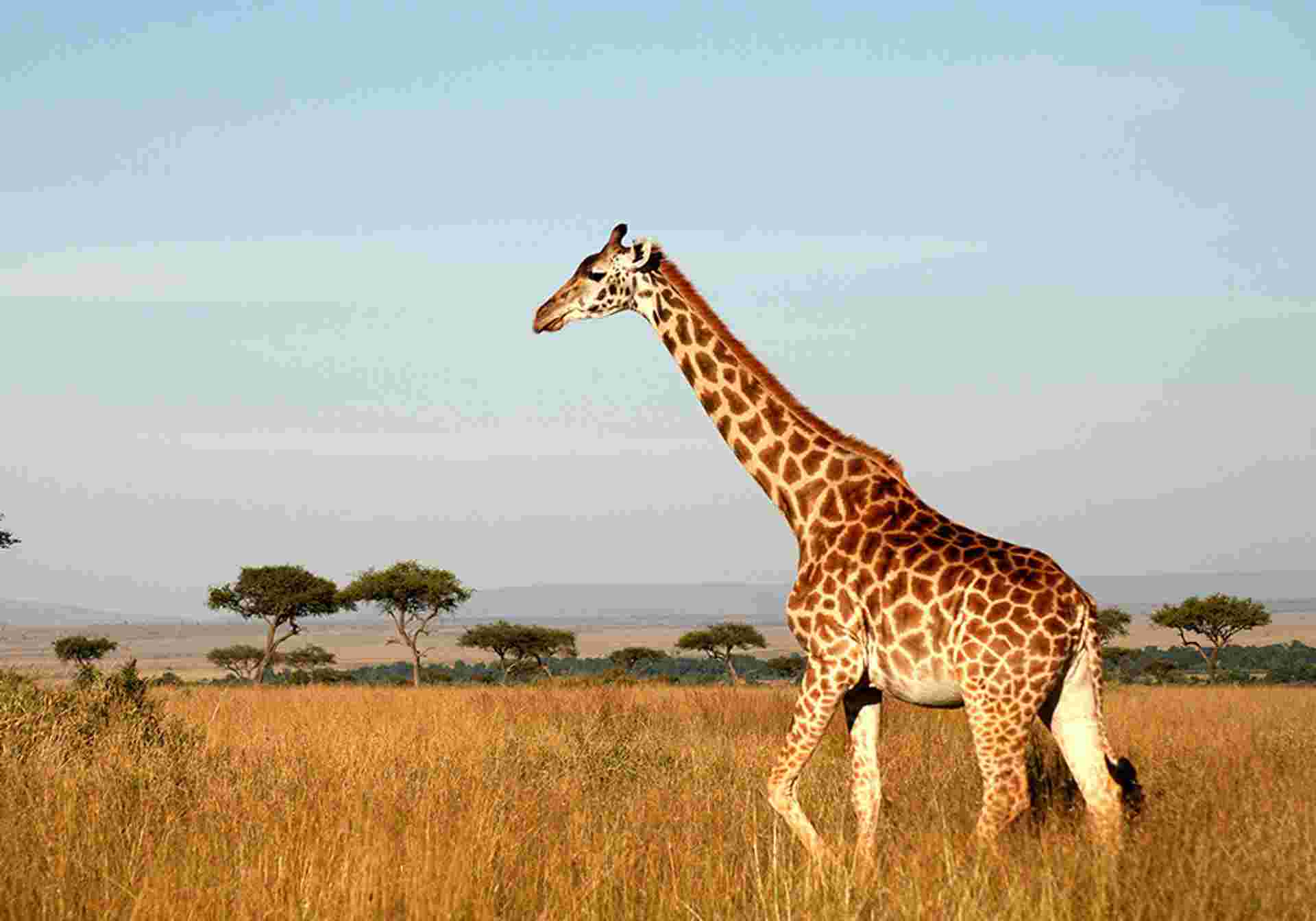 Highlights of Namibia