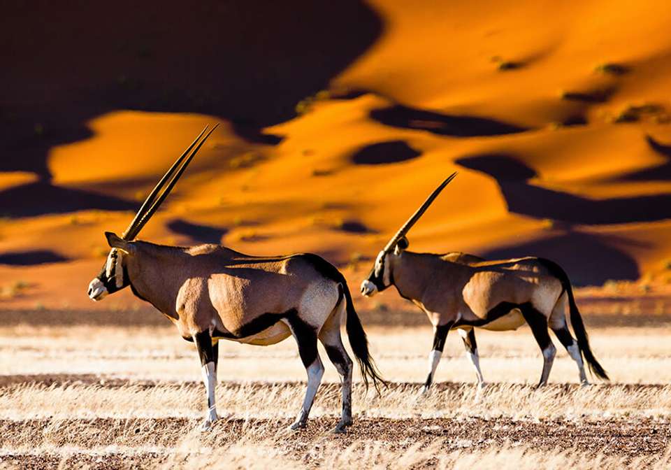 Northern Namibia Explorer - Indus Travels - Namibia - Image 2