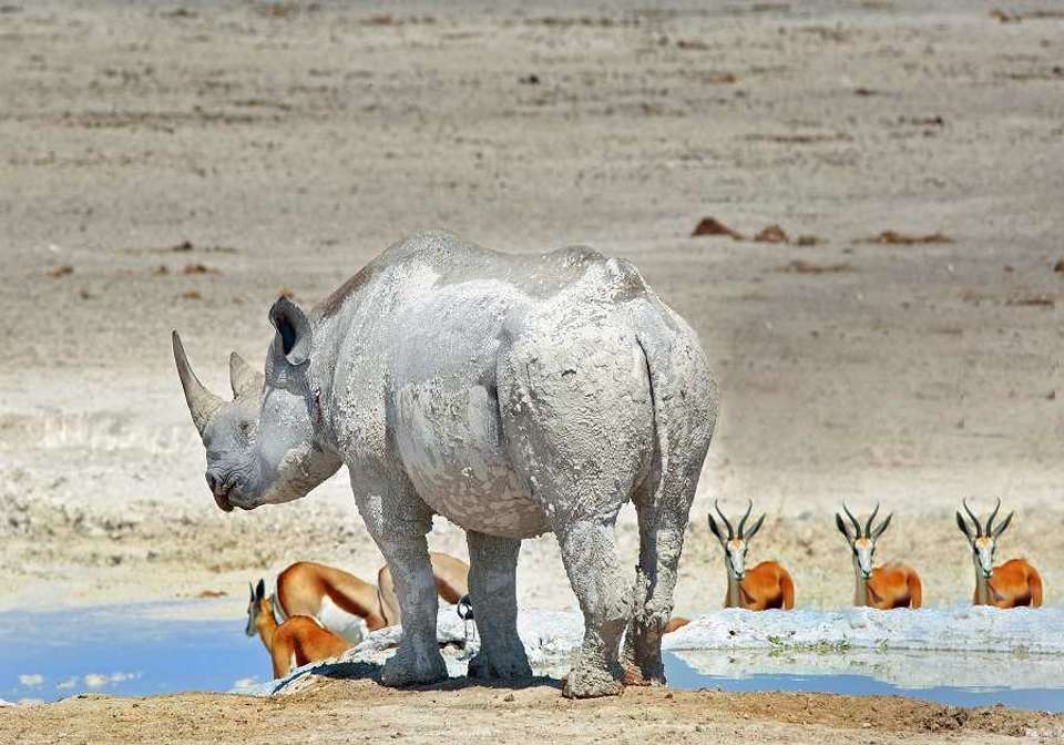 Northern Namibia Explorer - Indus Travels - Namibia - Image 5
