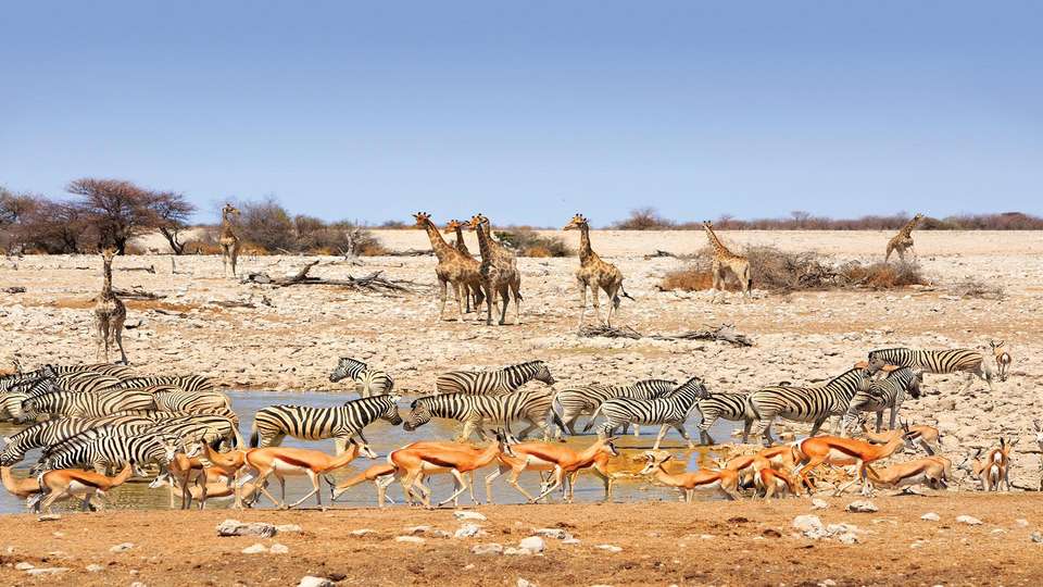 Northern Namibia Explorer - Indus Travels - Namibia - Image 8