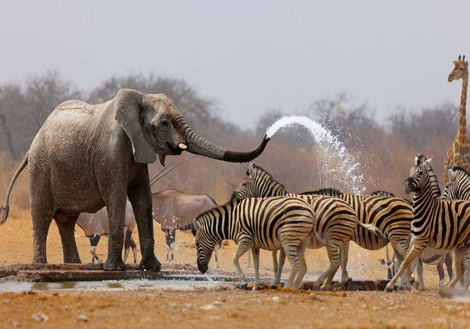 Highlights of Namibia, Botswana and Zimbabwe - Indus Travels - Namibia - Image 1