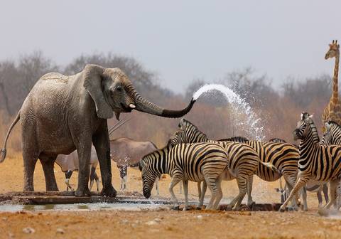 Highlights Of Namibia, Botswana And Zimbabwe - Spring Tours