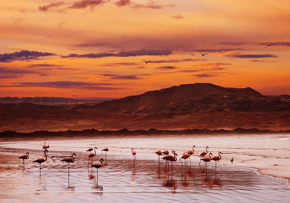 Highlights of Namibia, Botswana and Zimbabwe - Indus Travels - Namibia - Image 2