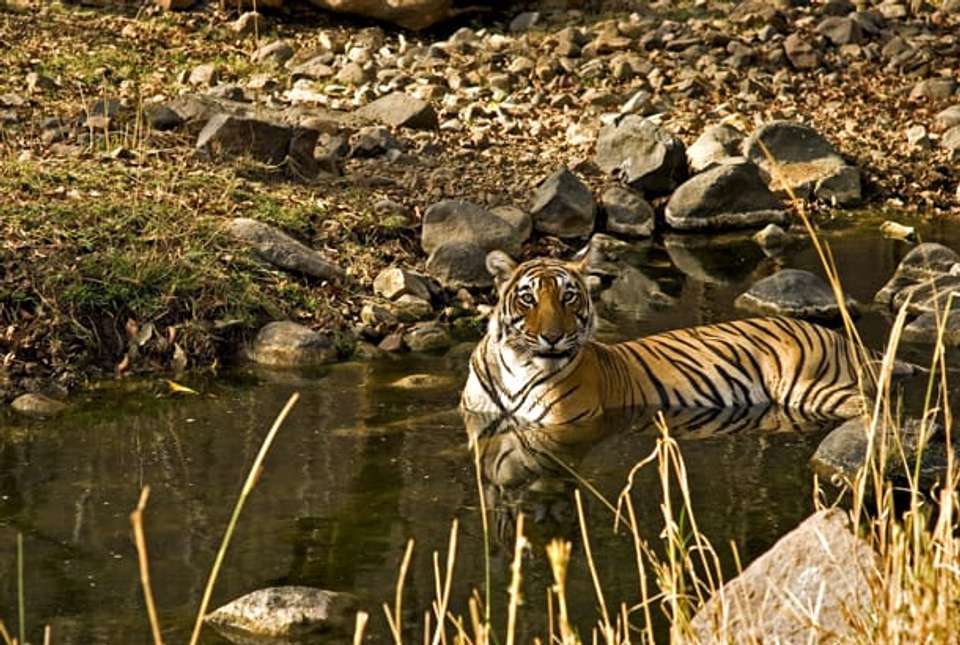 Highlights of North India - 11 days - undefined - Image 5