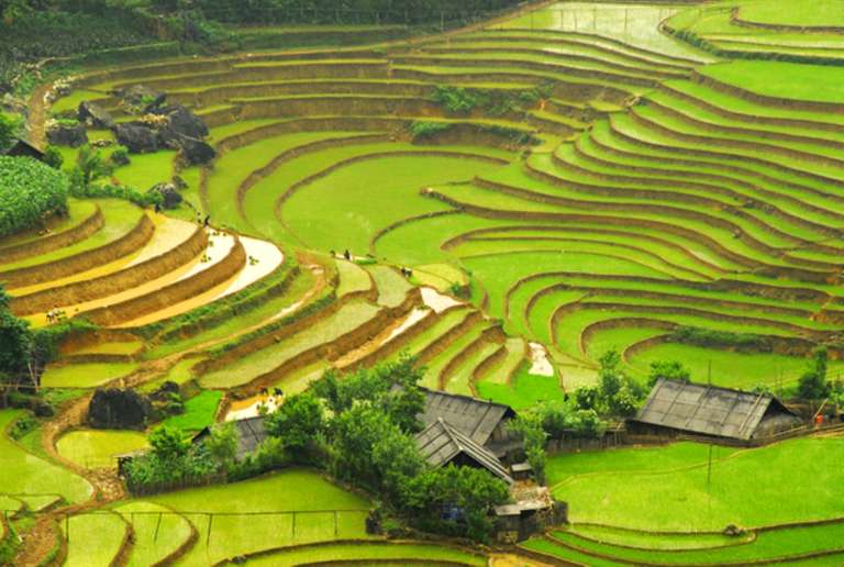 Highlights of North Vietnam - 11 days trip - alternative tour available