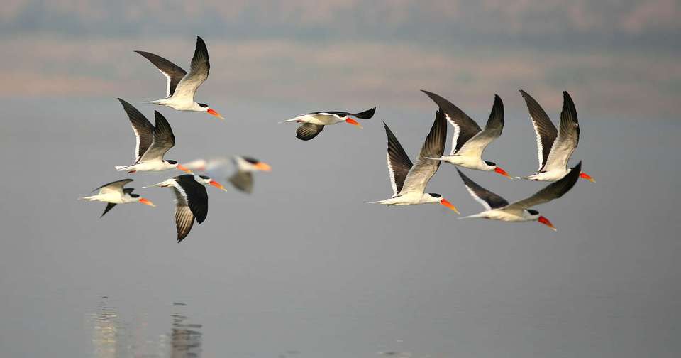 Highlights of Northern India - Explore - India - Image 9