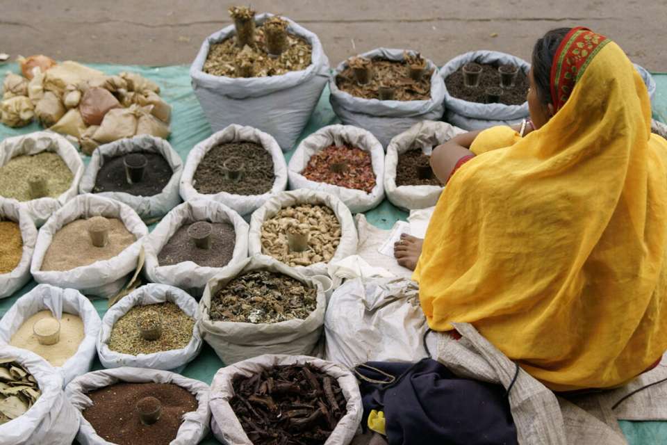 Highlights of Northern India - Exodus Adventure Travels - India - Image 15