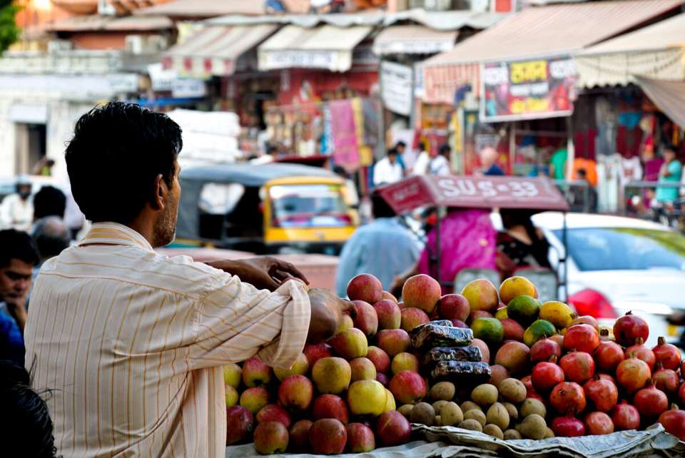 Highlights of Northern India - Exodus Adventure Travels - India - Image 14