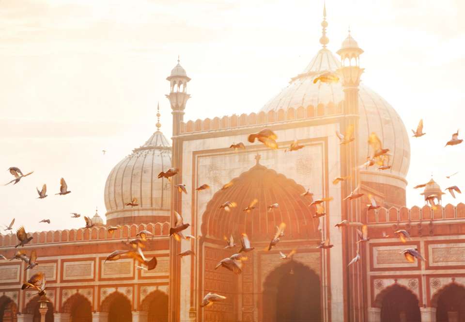 Highlights of Northern India & Nepal - Exodus Adventure Travels - India - Image 19