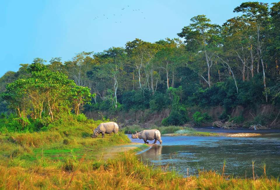 Highlights of Northern India & Nepal - Exodus Adventure Travels - India - Image 9