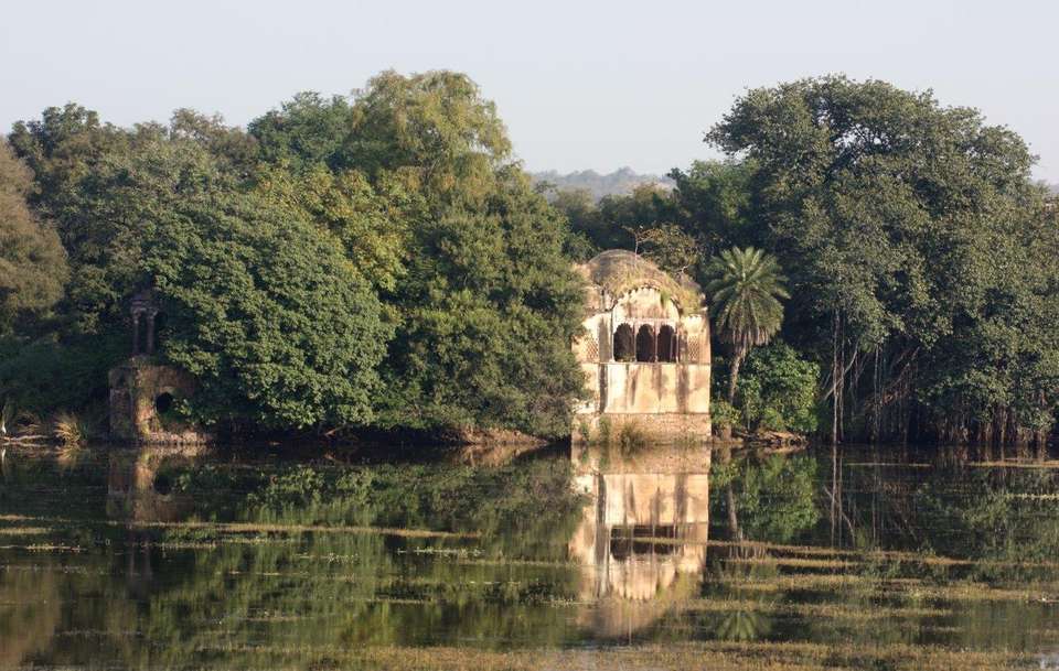 Highlights Of Northern India, German-speaking Guide - Destination Services - India - Image 10