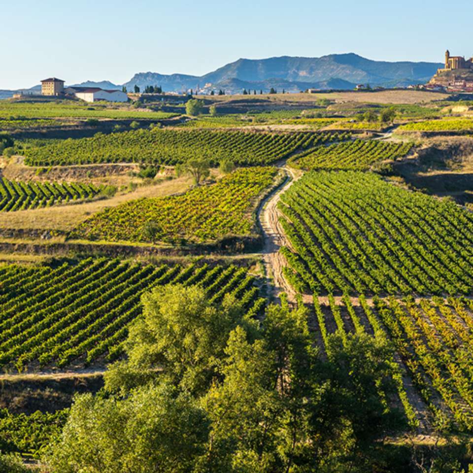 Highlights of Northern Spain - Back-roads Touring - Spain - Image 3
