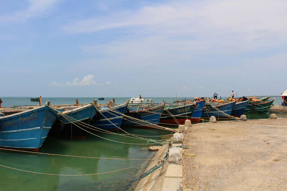 Highlights of Northern Sri Lanka - Exodus Adventure Travels - Sri Lanka - Image 4