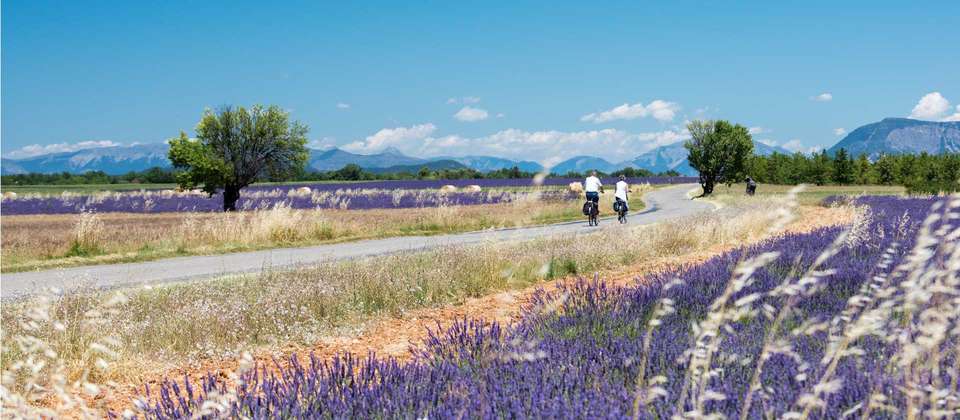 Highlights of Provence by Bike - Utracks - France - Image 6