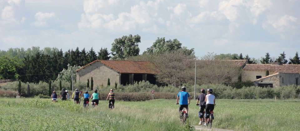 Highlights of Provence by Bike - Utracks - France - Image 9