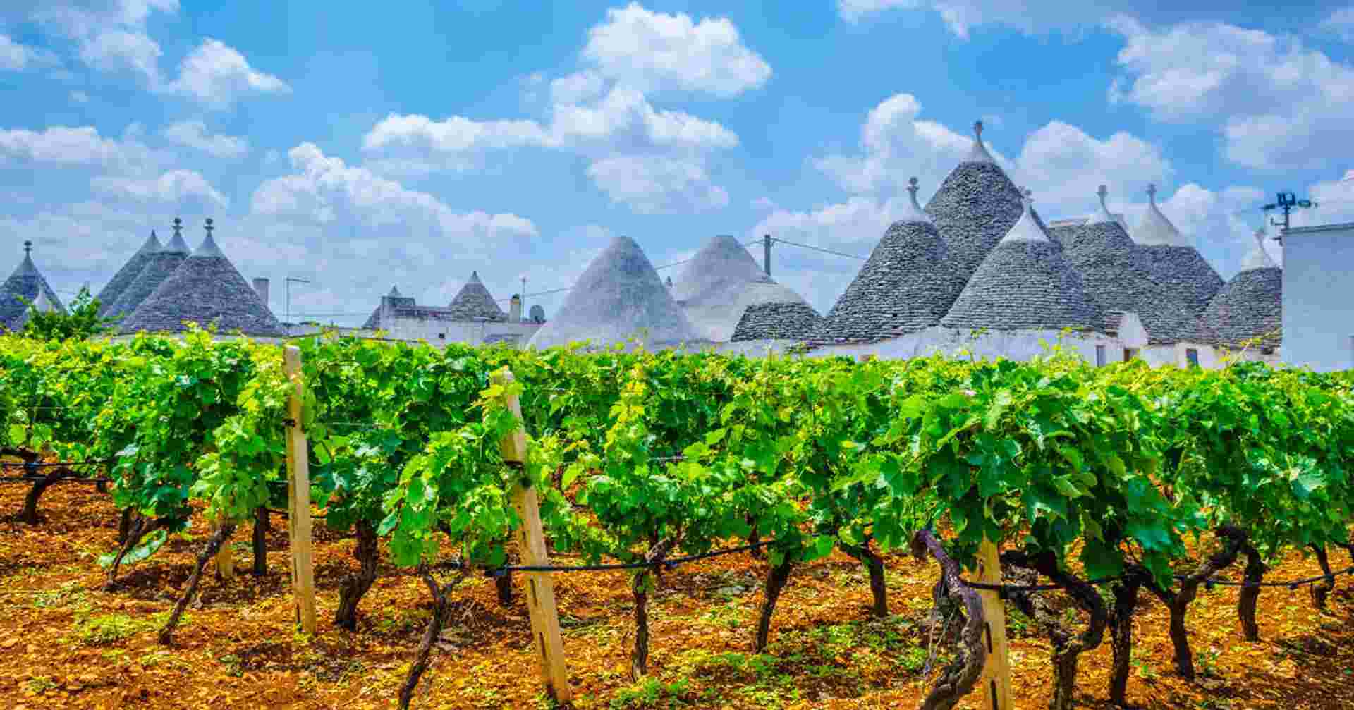 Highlights of Puglia
